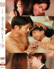 SILK-173 Let’s Make This An Unforgettable Night. Night 3